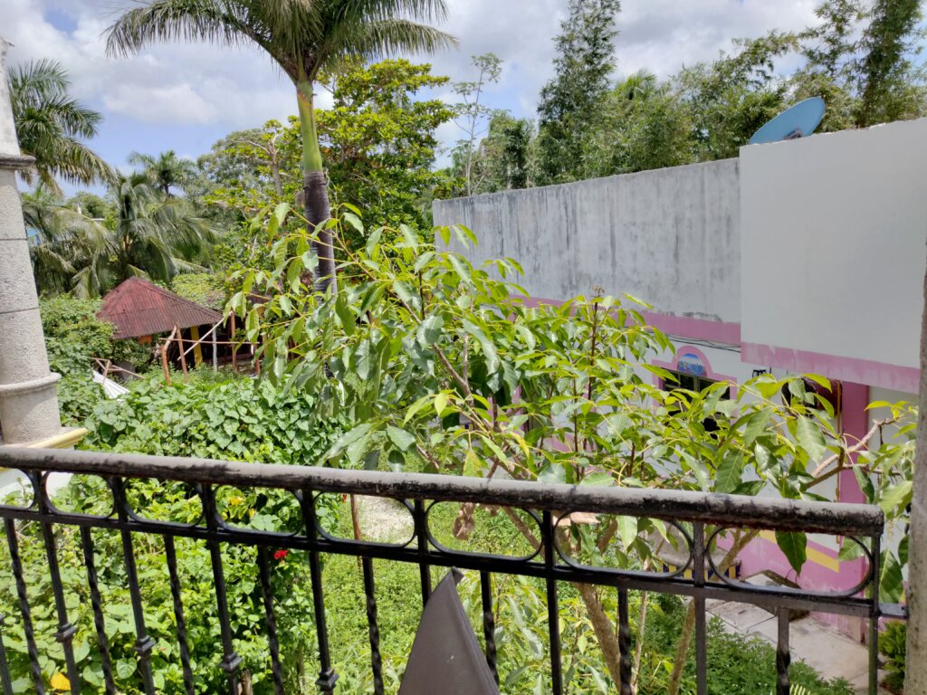 IMG20210908134727