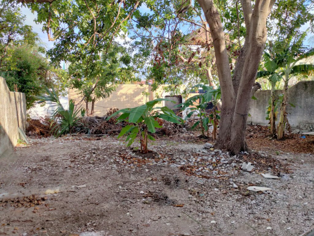 IMG20210329173419