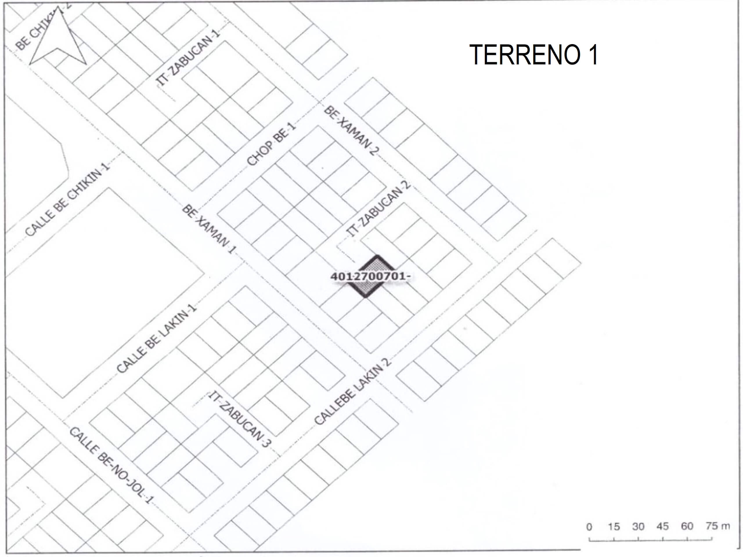 TERRENO 1