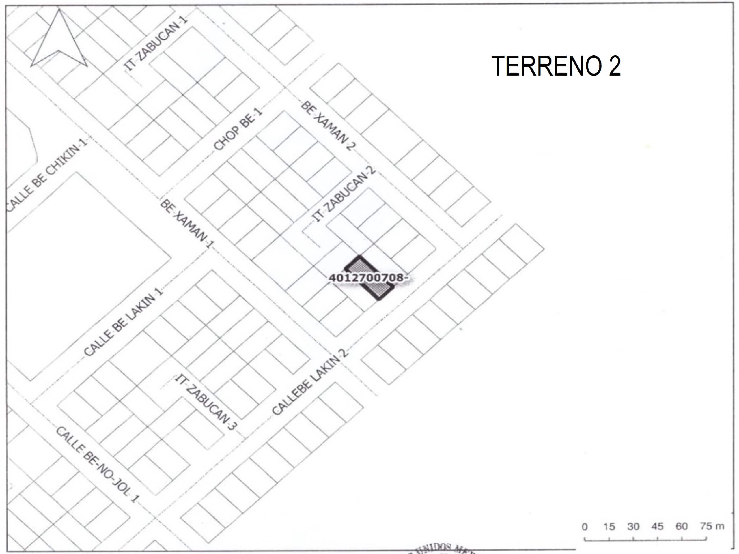 TERRENO 2