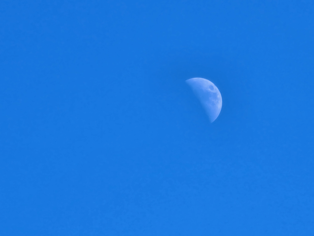 20221031_155434
