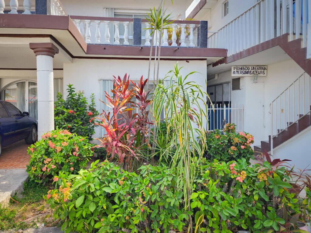 Jardín de Casa Gaby